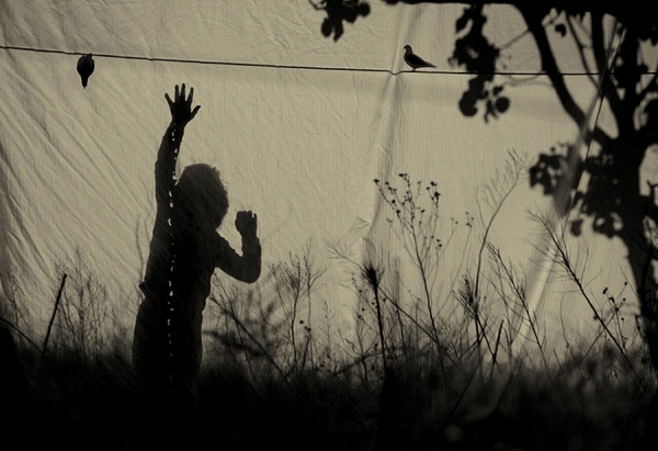 Photograph Angela Bacon Kidwell Untitled 1 on One Eyeland